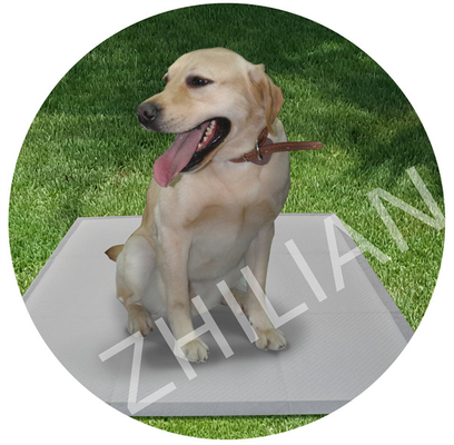 Machine de fabrication de tapis de dressage pour animaux de compagnie 300 m / min