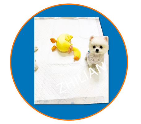 Tapis d'entraînement de largeur 450 mm Machine de protection pour animaux de compagnie 200 m/min